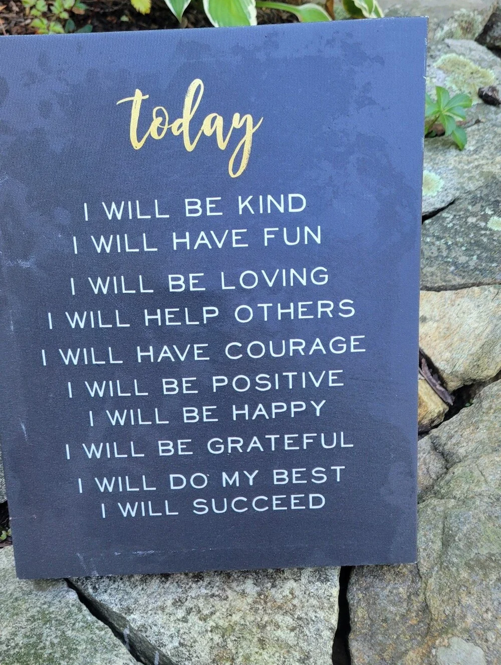 Set of 2 Inspirational Wall Decor Black Background Today I Will...
